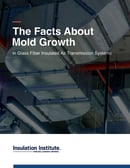 The Facts About Mold Growth in Glass Fiber Air Transmission Small-1